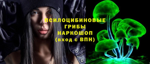 ПСИЛОЦИБИНОВЫЕ ГРИБЫ Каменногорск