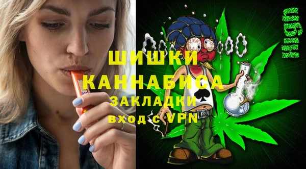 соль ск Каменка