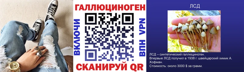 Псилоцибиновые грибы MAGIC MUSHROOMS  Купить  Томск 